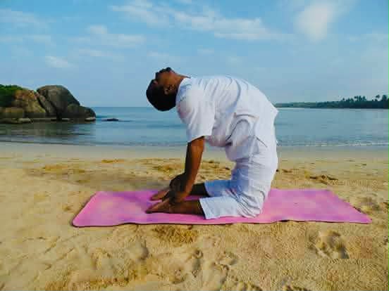 Camel Pose by Ocean Shore